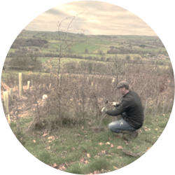 We&rsquo;re rewilding Yorkshire 